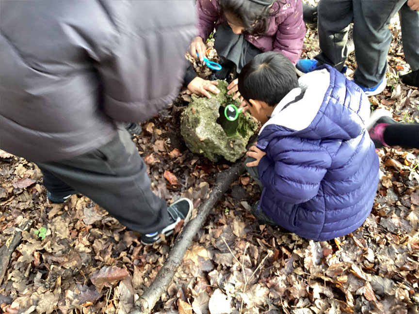 Herrick Primary School